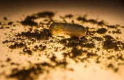 OPMS Gold Capsules